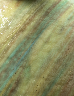 Iridescent glass surface in green and amber